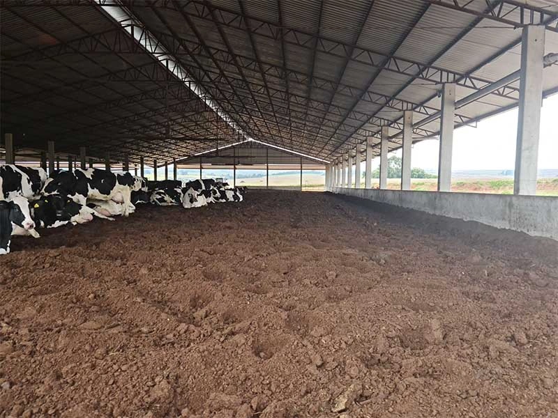 AS Projetos e Pré Moldados